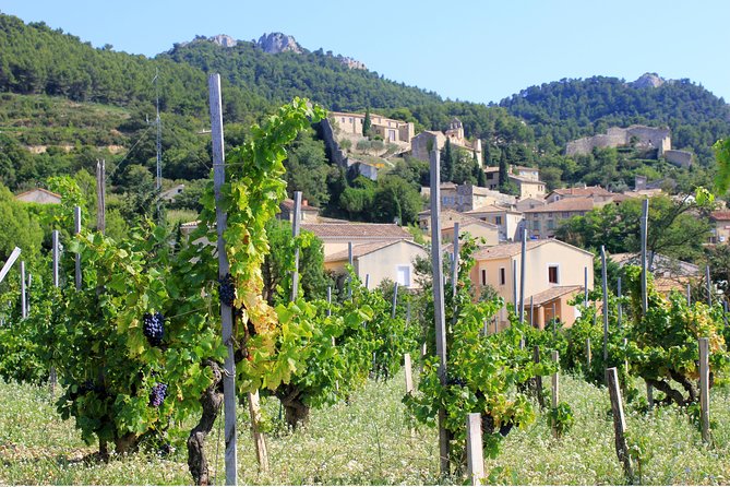 Half Day Great Vineyard Tour from Avignon - The Vineyards and Villages Visited