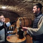 Half-day guided tour on the Burgundy wine Route in a classic car - Meursault and the Cellar Visit