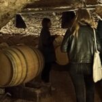 Half-Day Guided Tour with Tasting of Beaujolais Wines - Tasting at Oingt: First Wine Estate Visit