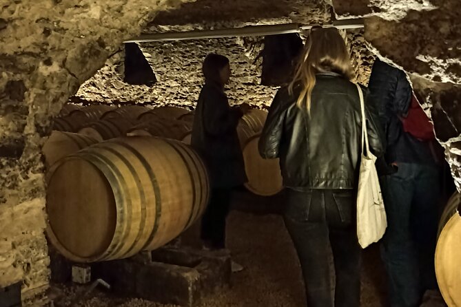 Half-Day Guided Tour with Tasting of Beaujolais Wines - Tasting at Oingt: First Wine Estate Visit