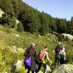 Half-Day Hiking with Private Mountain Guide in the Seven Rila Lakes - The Allure of the Seven Rila Lakes