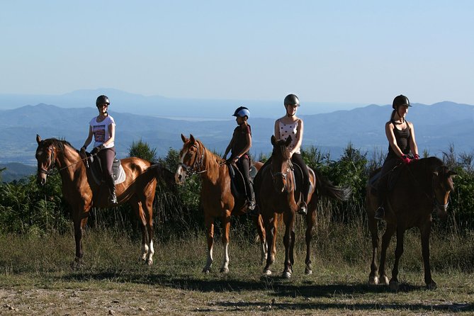 Half-Day Horseback Ride in Tuscany for beginner riders - The Safety and Comfort of All Equipment Included