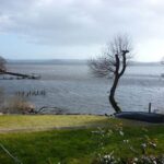 Half Day Loch Katrine Explorer Ebike Tour - Optional Extension to Loch Lomond for the Fit and Adventurous