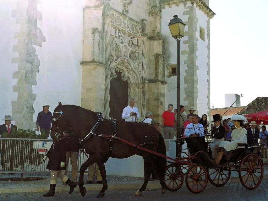 Half-day Lusitanian Horses & Photography Museum private tour - Starting from Lisbon or Oeiras, with Flexible Pickup Options