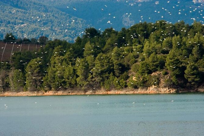 Half Day Marathon Private Tour - Starting at the Panathenaic Stadium: The Modern Olympic Finish Line