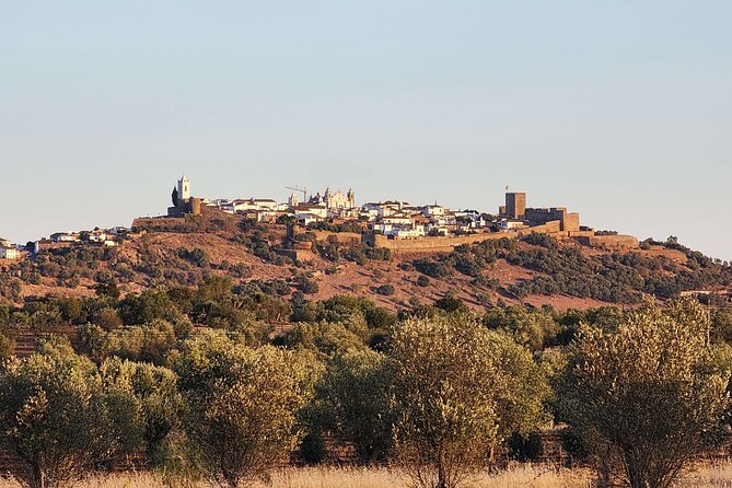 Half Day Monsaraz Tour from Evora by Archaeologists - Exploring the Enchanting Village of Monsaraz