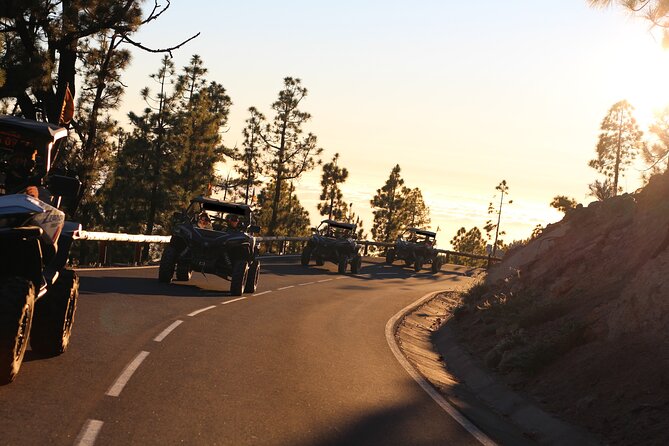 Half Day Morning Buggy Tour in Teide National Park - What You Can Expect at the Stops