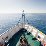 Half-Day Odyssey Guided Boat Safari with Lunch in Cyprus - Visiting the Zenobia Wreck: A Dive into History