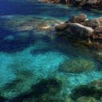 Half Day of Snorkeling and a Swim on Elba Island - Starting Point and Logistics in Cavo