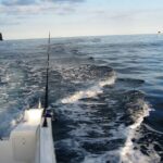 Half-Day Private Coastal Fishing Escape - Starting Point at Acores Trilhos da Natureza Marina