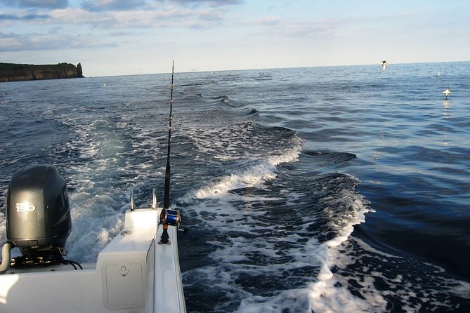 Half-Day Private Coastal Fishing Escape - Starting Point at Acores Trilhos da Natureza Marina