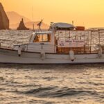 Half Day Private Cruise from Pollonia to Polyaigos - Exploring Polyaigos: The Largest Uninhabited Island in the Mediterranean