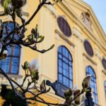 Half-Day Private Food and Wine Walking Tour Oradea Romania - Exploring Oradea’s Culinary Gems