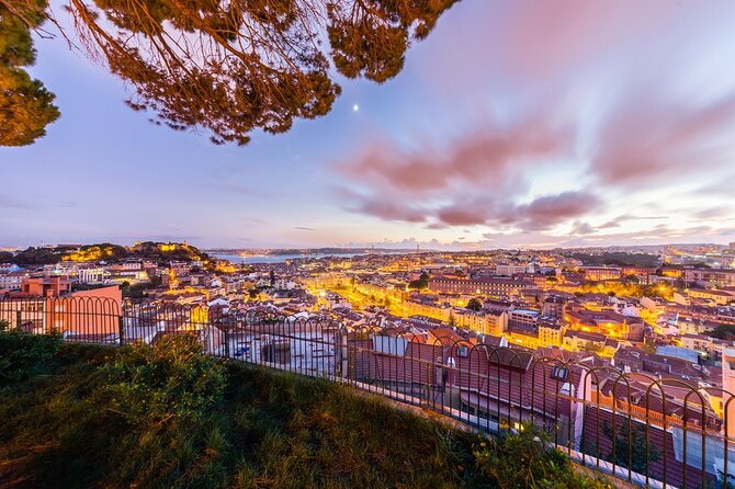 Half-Day Private Tour in Lisbon - Visiting Miradouro da Senhora do Monte for the Best City Views