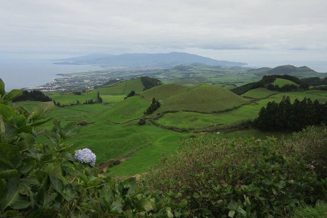 Half Day Private Tour in Sete Cidades - Visiting Pico do Carvão for Panoramic Island Views