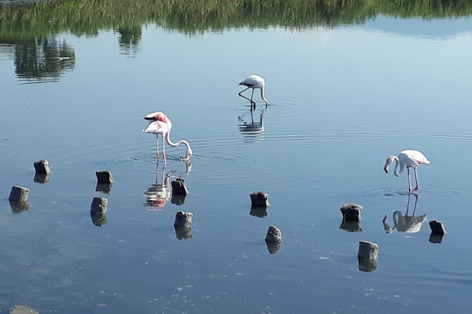 Half-Day Private Trip from Cagliari to Barumini in Su Nuraxi - Scenic Stop at Poetto Beach and Devils Saddle Rock Formation