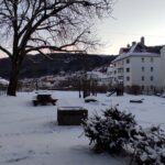 Half-Day Private Walking Tour in Bergen with Dinner and Funicular - Visiting the Rosenkrantz Tower and King Haakon’s Hall