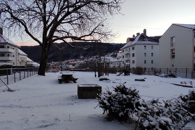 Half-Day Private Walking Tour in Bergen with Dinner and Funicular - Visiting the Rosenkrantz Tower and King Haakon’s Hall