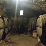 Half Day Private Wine & Oil Tasting Tour near Barcelona with hotel pick up - Visiting a Historic Organic Winery and Its Vineyards