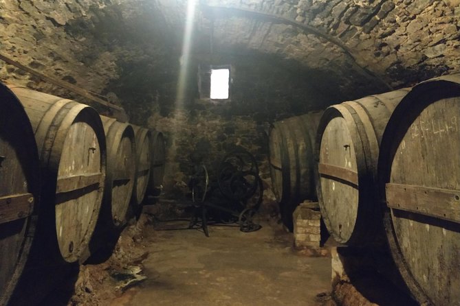 Half Day Private Wine & Oil Tasting Tour near Barcelona with hotel pick up - Visiting a Historic Organic Winery and Its Vineyards