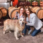 Half Day Rioja Wine Tour - Learning About Winemaking Methods