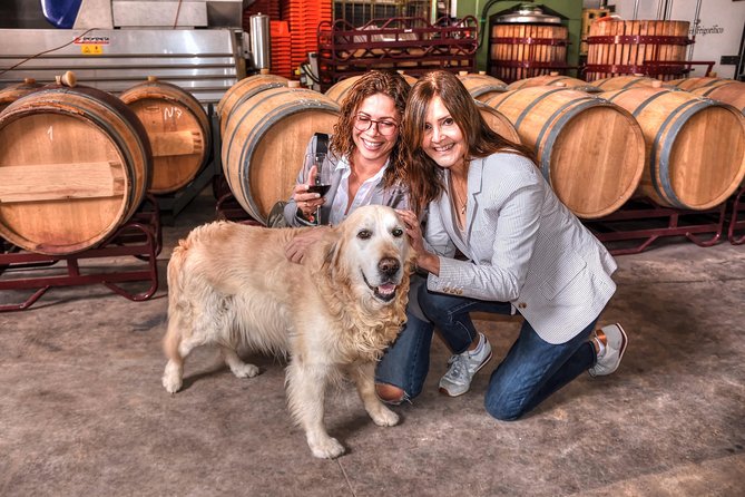 Half Day Rioja Wine Tour - Learning About Winemaking Methods