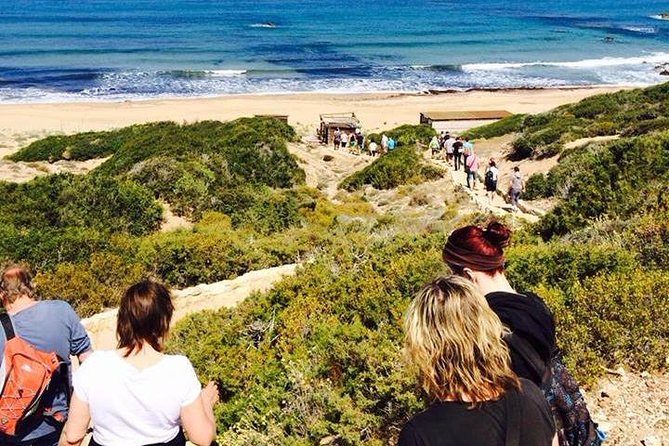 Half day Safari Tour to Akamas Peninsula from Paphos - Visiting Lara Bay and the Turtle Conservation Station