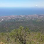 Half day shore excursion to Mount Vesuvius (2 hours) - Optional Wine Tasting at a Family-Owned Vineyard