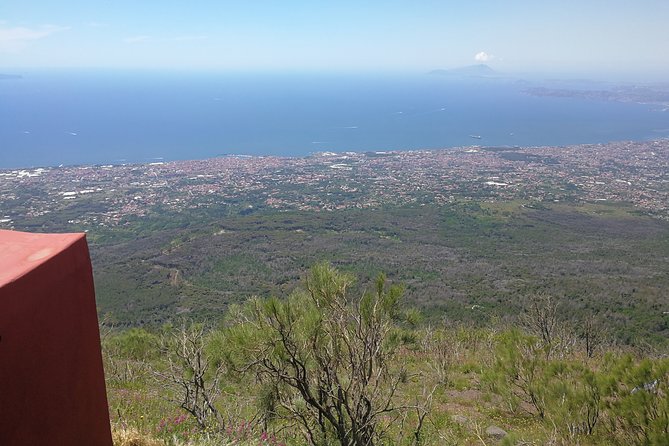 Half day shore excursion to Mount Vesuvius (2 hours) - Optional Wine Tasting at a Family-Owned Vineyard