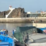 Half Day Tour with Madeira Wine Tasting - Key Points