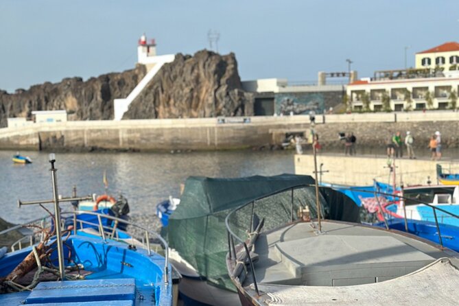 Half Day Tour with Madeira Wine Tasting - Key Points