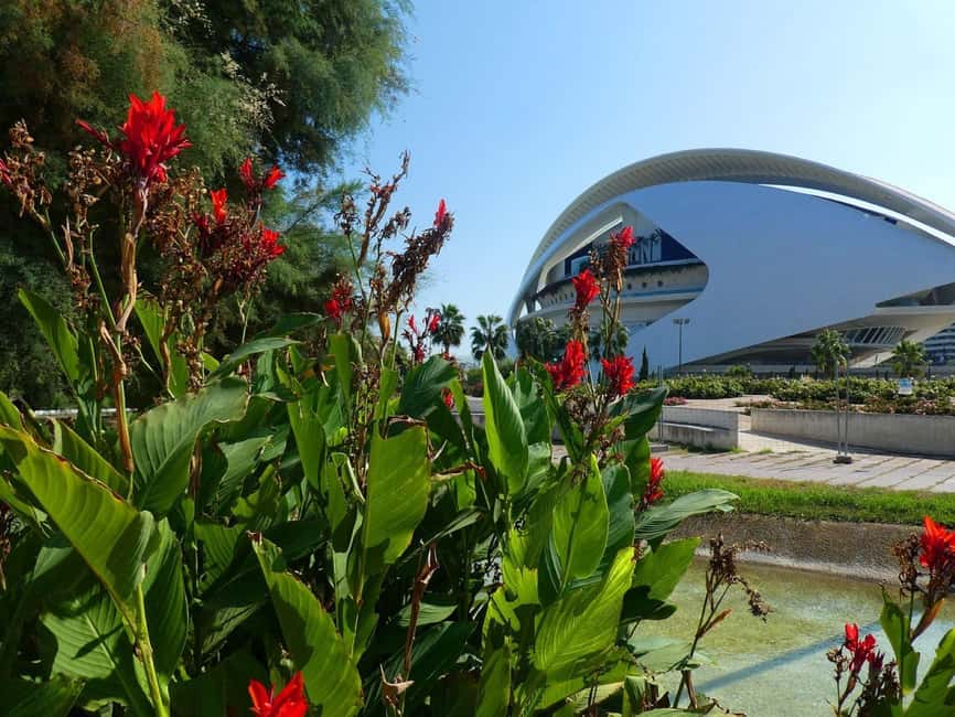 Half Day Valencia Walking Tour - The Iconic City of Arts & Sciences: A Futuristic Landmark