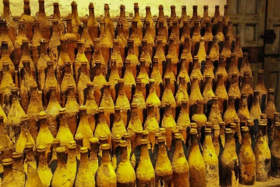 Half-Day Wine Tour in Andalusia in small group - Authentic Visit to Traditional Andalusian Wineries