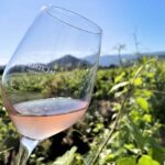 Half day Wine Tour in Bandol & Cassis from Aix en Provence - Exploring Cassis: Free Time in a Charming Fishing Town