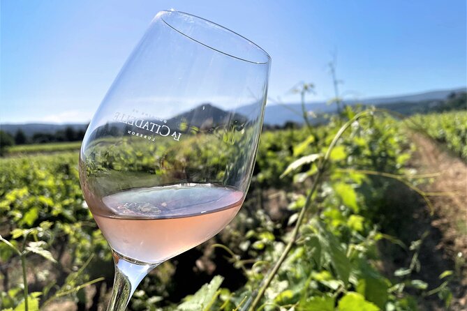 Half day Wine Tour in Bandol & Cassis from Aix en Provence - Exploring Cassis: Free Time in a Charming Fishing Town