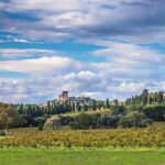 Half-Day Winery and Wine Tasting Guided Walking Tour - Private Tour of Domaine Mayard