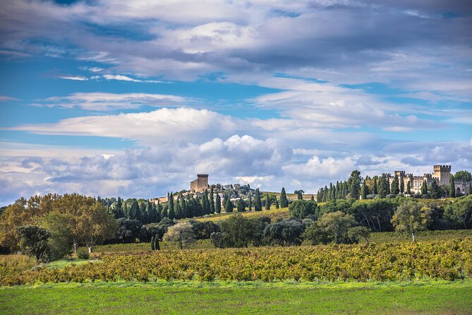 Half-Day Winery and Wine Tasting Guided Walking Tour - Private Tour of Domaine Mayard
