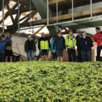 Hallertau experience with hop harvest, lunch and hop museum - The Hop Harvest at Osterwaal Farm