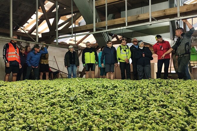 Hallertau experience with hop harvest, lunch and hop museum - The Hop Harvest at Osterwaal Farm