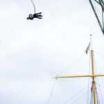 Hamburg: Bungee Jumping 50 Meters High over the Harbor - The Jump Experience from the Crane