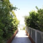 Hamburg: St. Pauli's "Green Bunker" Tour  above the rooftops of Hamburg - Hamburg: St. Paulis "Green Bunker" Tour – Final Thoughts