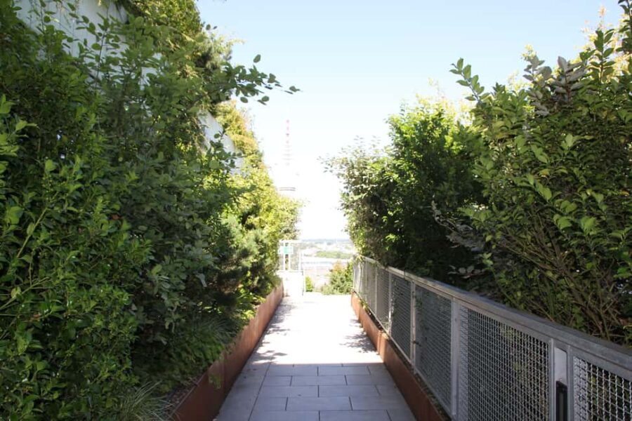 Hamburg: St. Pauli's "Green Bunker" Tour  above the rooftops of Hamburg - Hamburg: St. Paulis "Green Bunker" Tour – Final Thoughts