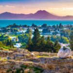 Hammamet: Carthage & Sidi Bou Said Half-Day Tour - Exploring Carthage’s Historic Ruins