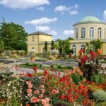 Hannover: Guided tour of the Berggarten - The Berggarten’s Extensive Plant Collections