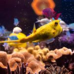 Hanover: SEA LIFE Entry Ticket - Discover Over 40 Tanks and Aquariums