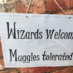 Harry Potter Tour New College Private Group Tour - Visiting New College Cloisters, the Hogwarts Connection