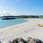 Haugesund: Highlights of the Region Half-Day Tour - Relaxing at Åkrasanden Beach