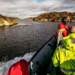 Haugesund: RIB Safari to the island communities - Exploring Island Communities and Marine Life