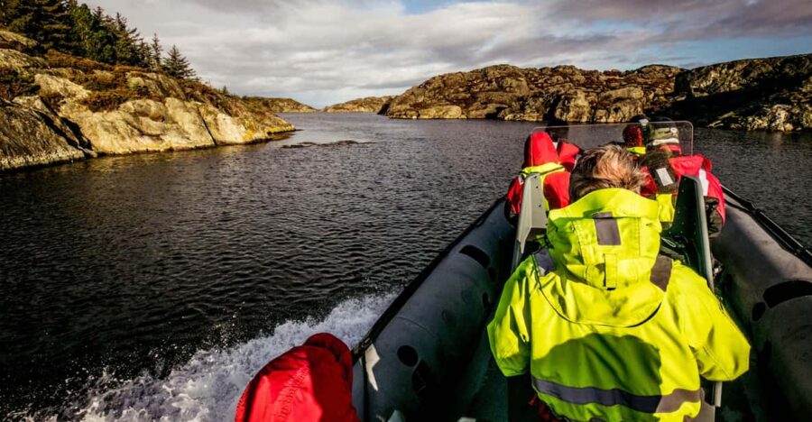 Haugesund: RIB Safari to the island communities - Exploring Island Communities and Marine Life