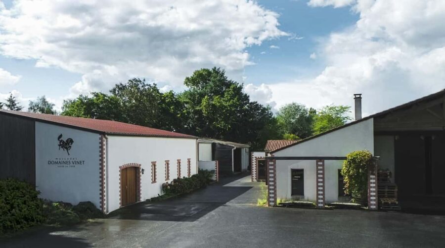 Haye-Fouassière: Visit and wine tasting at a family estate - Behind-the-Scenes Cellar Tour and Production Insights